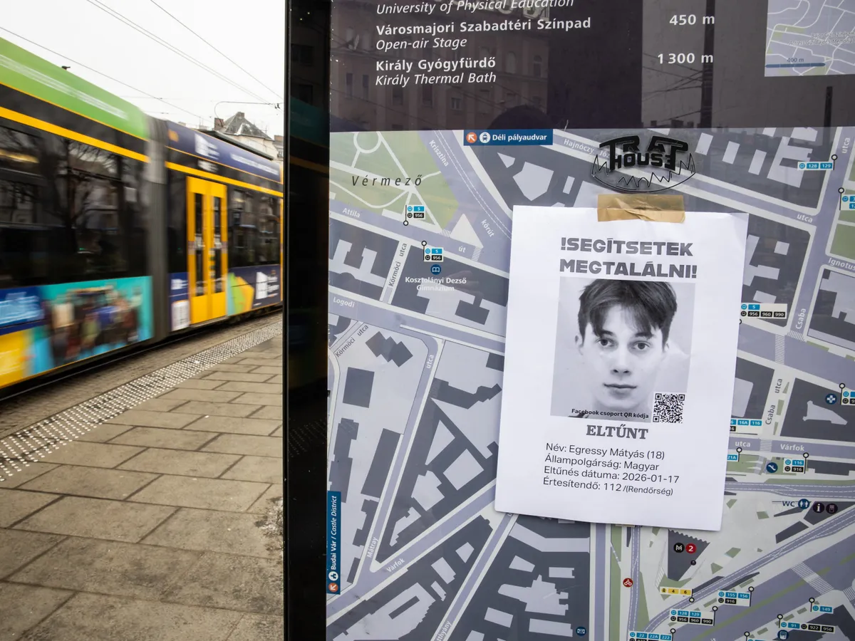 Egressy Mátyás, EgressyMátyás, eltűnt, plakát