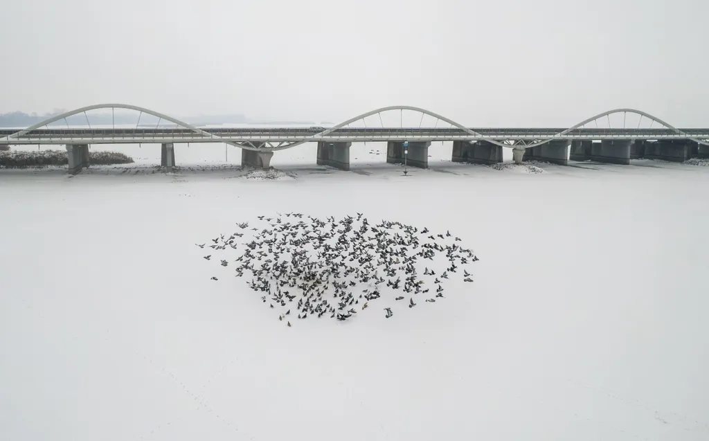 Lenyűgöző képeken a befagyott Tisza-tó és környéke, Tiszató, időjárás, tél, galéria, 2026