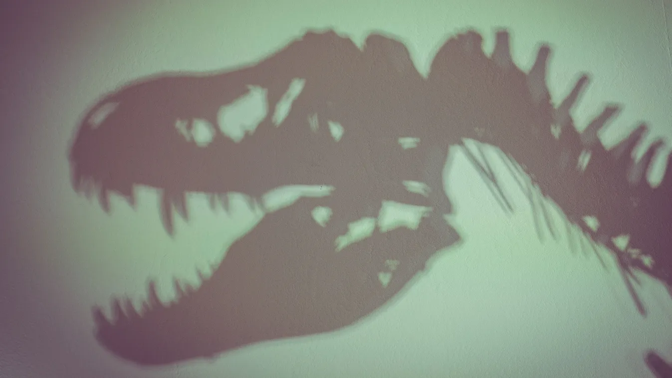 Új felfedezés boríthatja fel a T. rexről eddig alkotott képet Kép