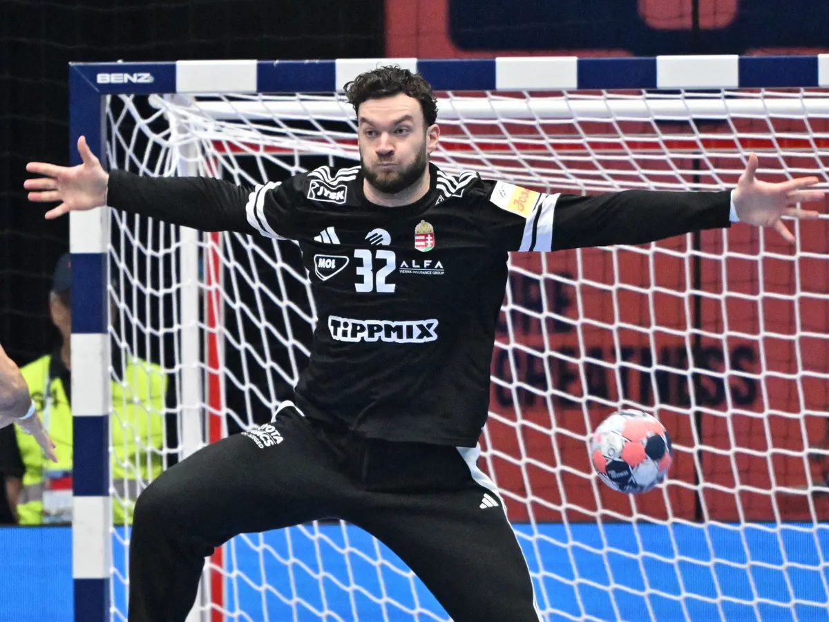 Palasics Kristófot a meccs legjobbjának választották, de még egy pontnak biztosan jobban örült volna Fotó: JOHAN NILSSON/TT / TT NEWS AGENCY