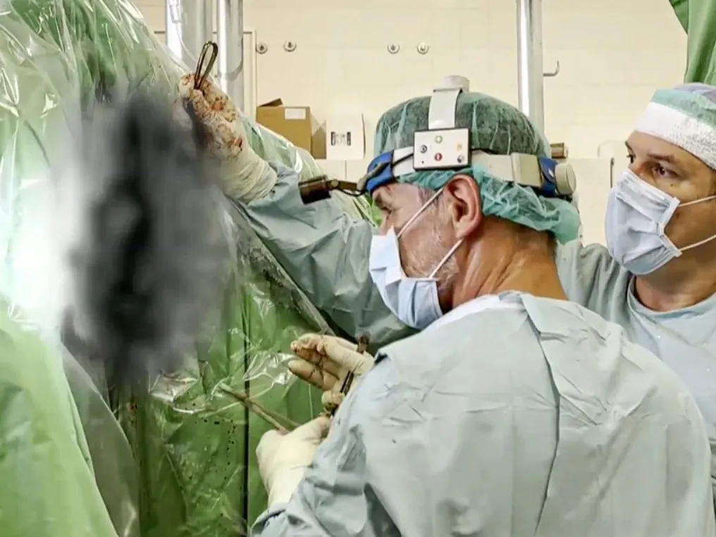 Vészhelyzet az állatkórházban, Vészhelyzetazállatkórházban