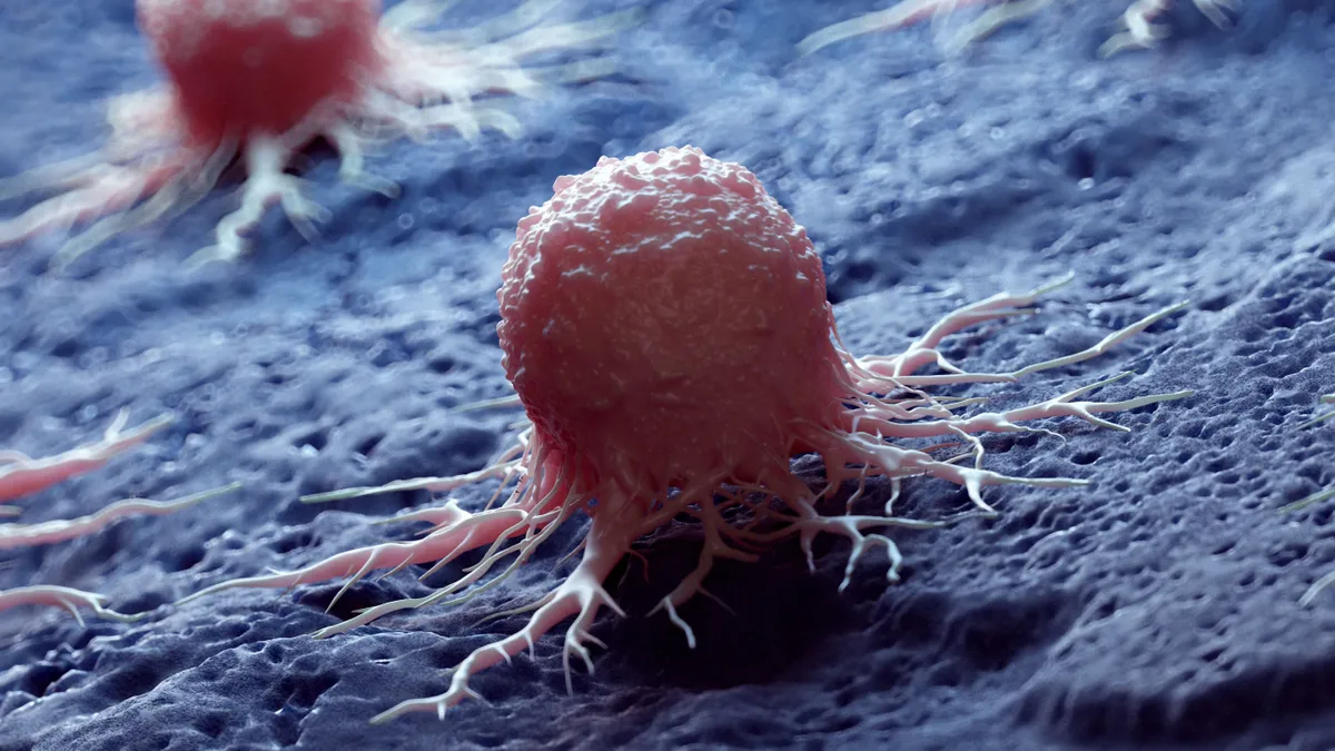 2050-ben pedig már több mint 30 millió új rákbeteggel számolnak a szakemberek