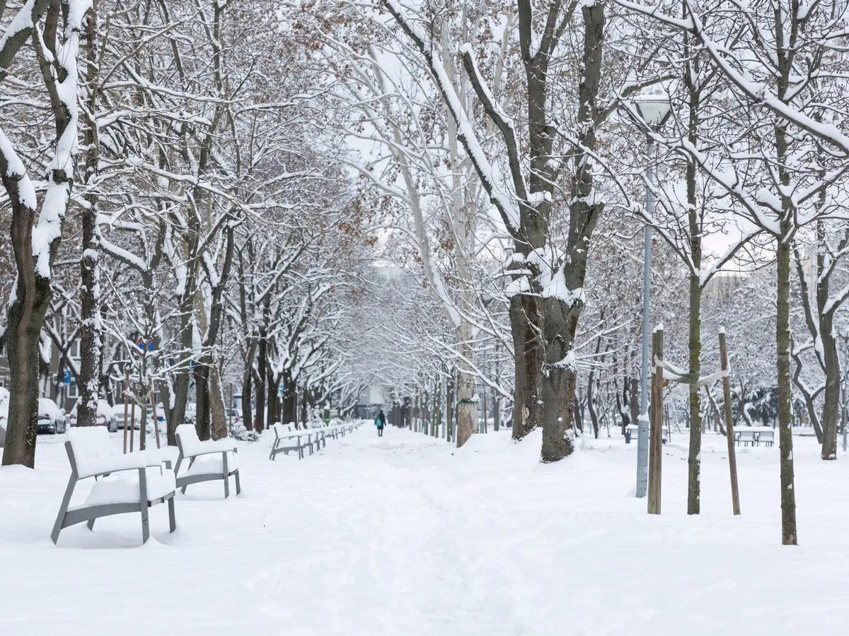 Hóhelyzet Budapesten, HóhelyzetBudapesten, hó, havazás, időjárás, 2026 január