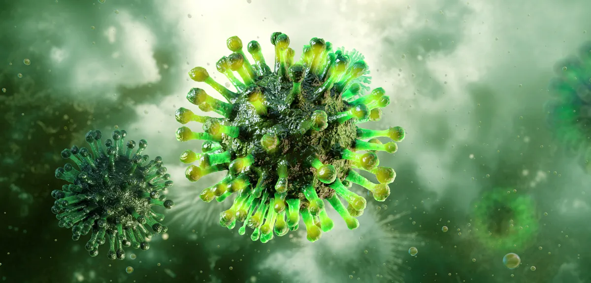 Az influenza kórokozója.