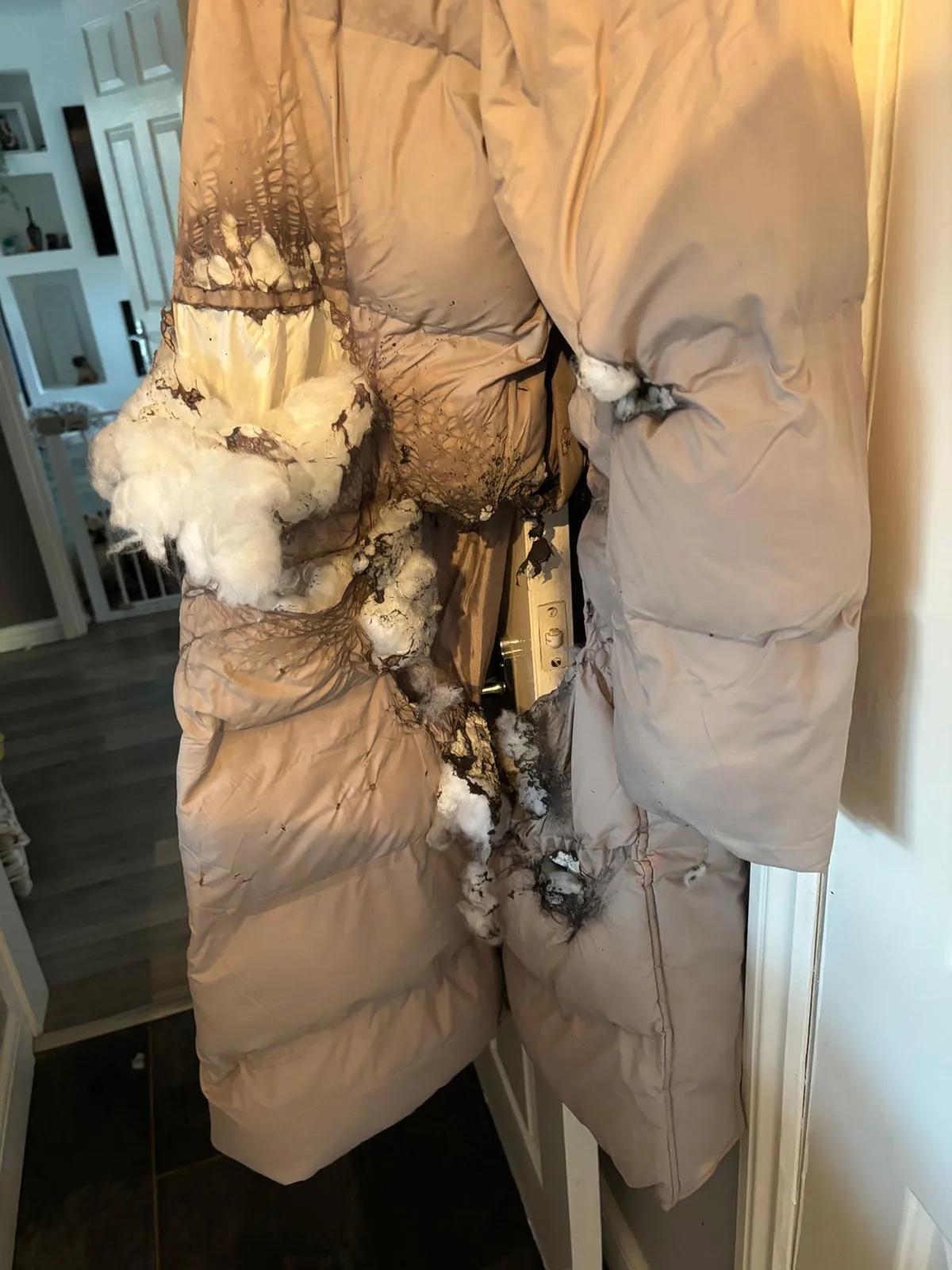 Kerrie Roberts, KerrieRoberts,

Pic from Kennedy News & Media (Pictured: THE STATE OF 52-YEAR-OLD KERRIE ROBERTS' NEW COAT AFTER HER VAPE BATTERY EXPLODED IN HER POCKET.) A mum feared she'd burn to death when her vape battery exploded 'like a firework' in her pocket - setting her puffer coat and dress 'on fire'. Kerrie Roberts, from Harlow in Essex, was sitting in her friend's car when she claims her rechargeable vape blew up in her coat pocket without warning on October 19th. At first, the pair believed the stationary vehicle was malfunctioning and the whole car was going to set alight. DISCLAIMER: While Kennedy News and Media uses its best endeavours to establish the copyright and authenticity of all pictures supplied, it accepts no liability for any damage, loss or legal action caused by the use of images supplied and the publication of images is solely at your discretion. SEE KENNEDY NEWS COPY - 0161 697 4266