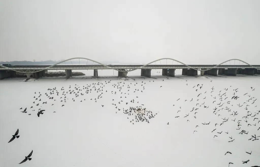 Lenyűgöző képeken a befagyott Tisza-tó és környéke, Tiszató, időjárás, tél, galéria, 2026