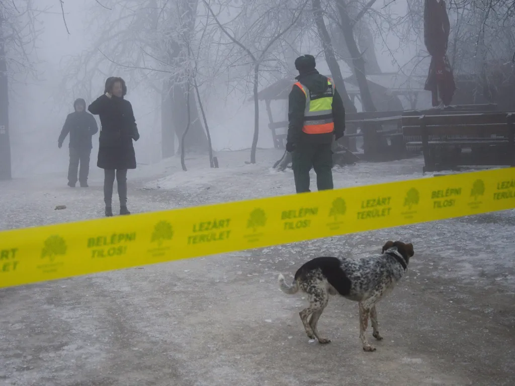 ónos eső vagy ólmos eső vegyes halmazállapotú, túlhűlt vízcseppekből álló csapadékfajta, ónoseső, időjárás, összeállítás, galéria, 2026