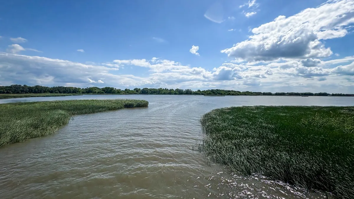 Tisza-tó, Tiszató, nyár, illusztráció