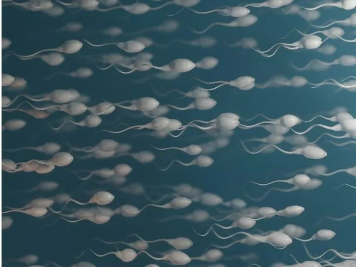 A sperma állapotát a rendszertelen alvás is ronthatja