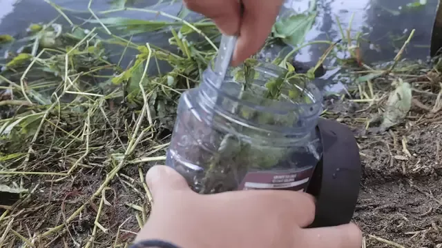 A szennyvíz az üvegben önálló életre kelt.