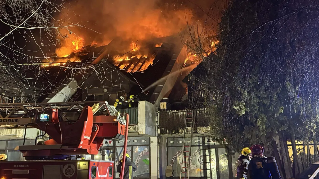 „Tehetetlenek voltak a tűzoltók!” – megszólaltak a budakeszi tűzvész szemtanúi Kép
