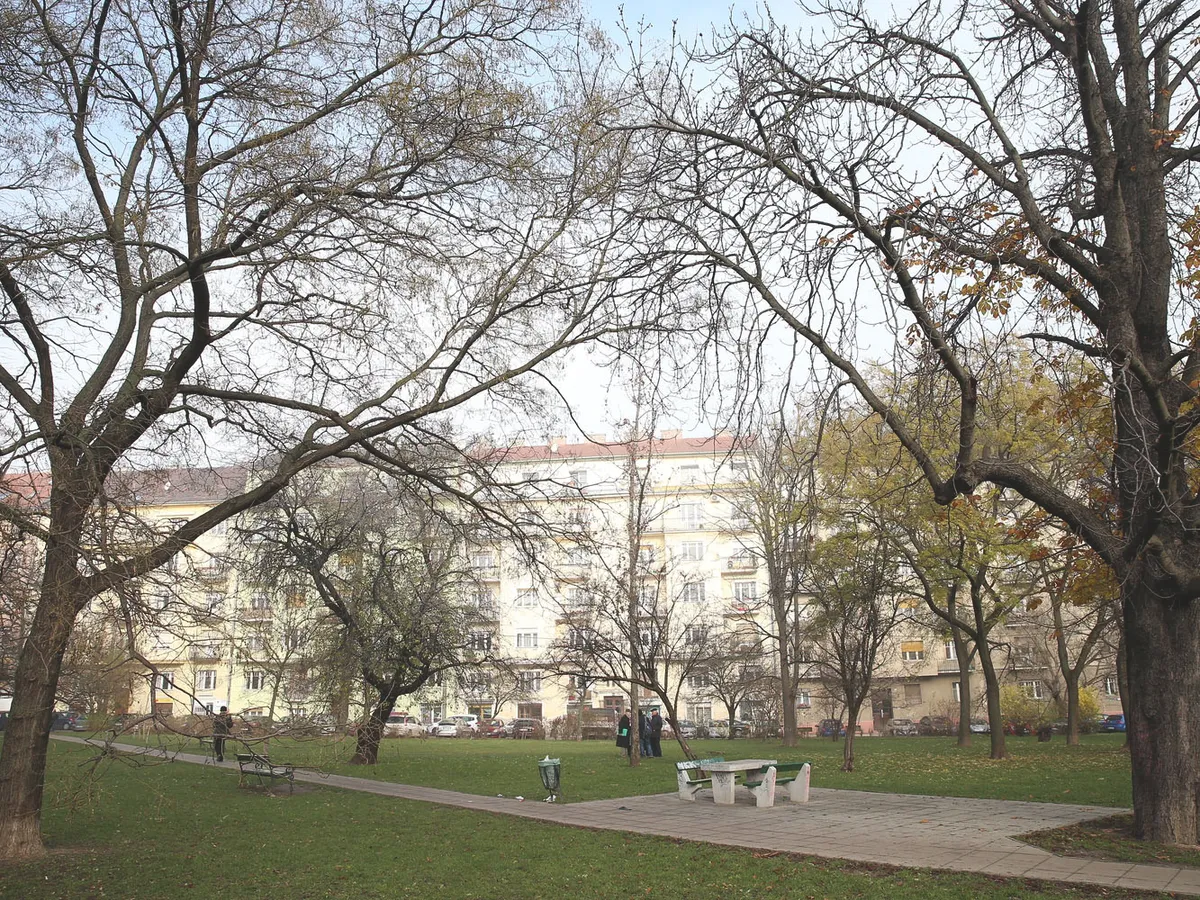 csörsz park