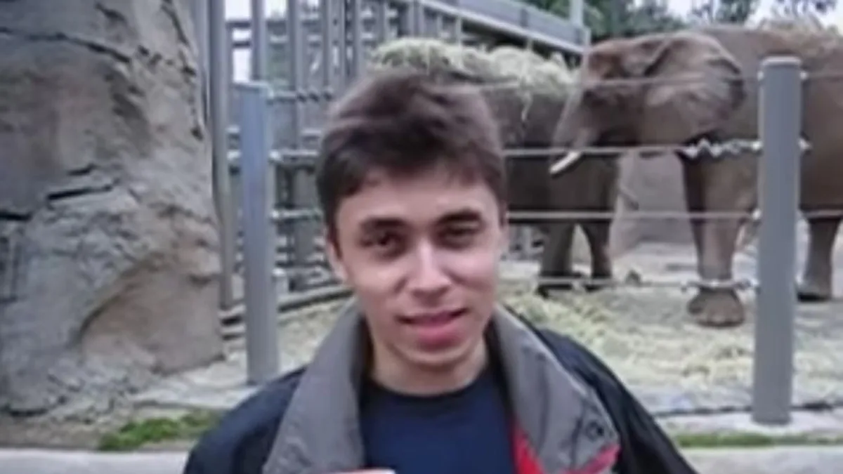 Már múzeumban mutogatják a YouTube legendás videóját – ORIGO