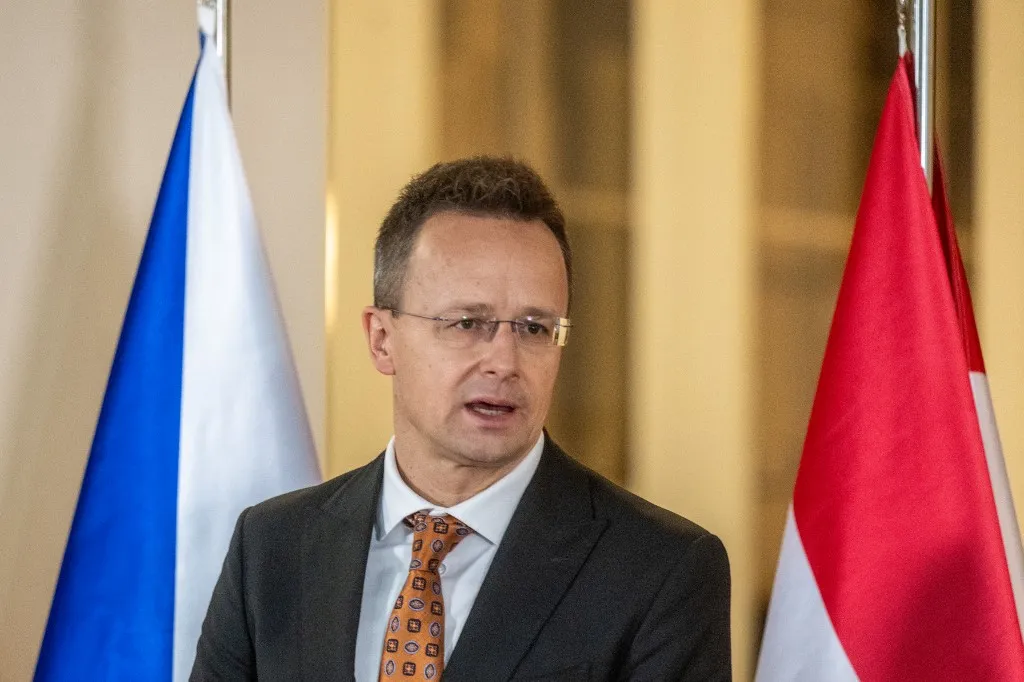 Szijjártó Péter külgazdasági és külügyminiszter (Fotó: AFP)