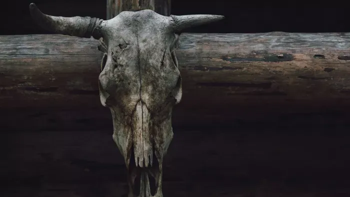 Tizedet szolgáltat a szekta a messiásának