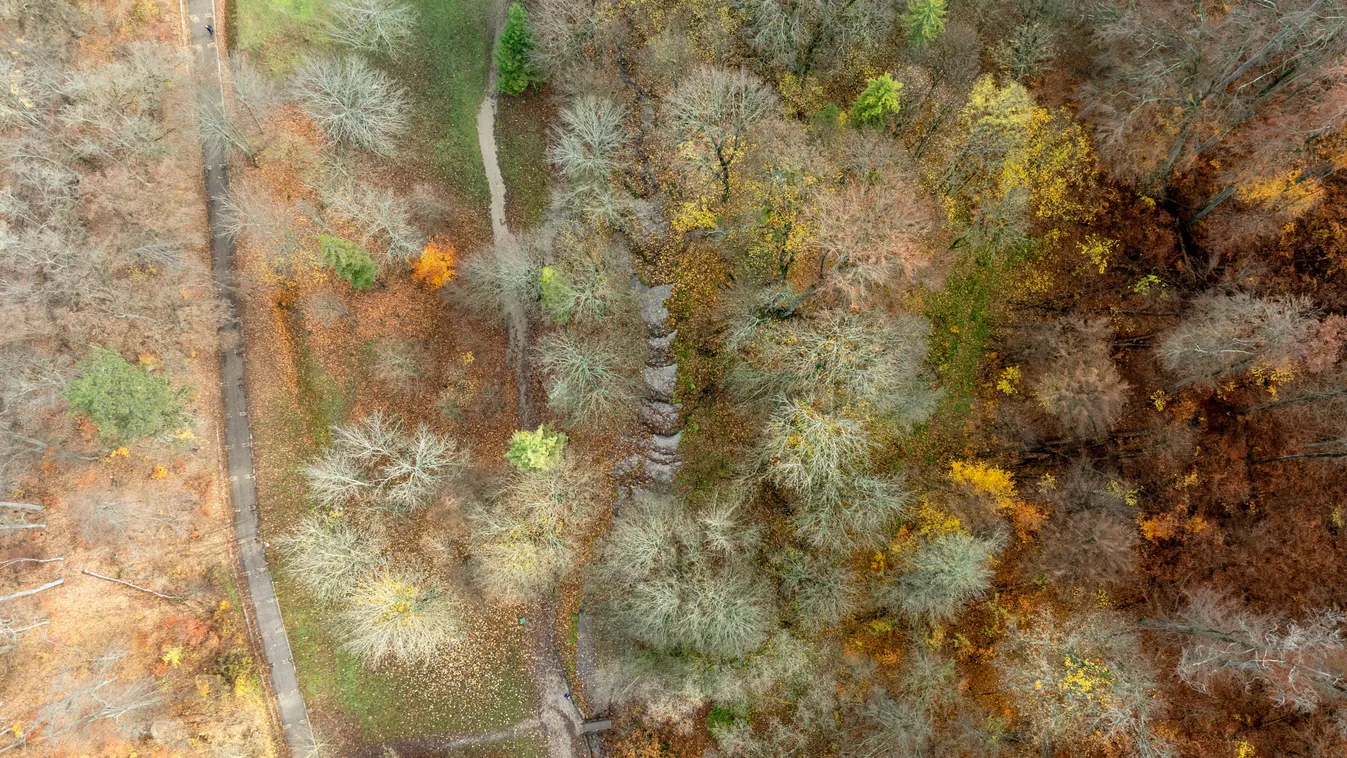 Érdemes lesz kinézni vasárnap az ablakon Kép