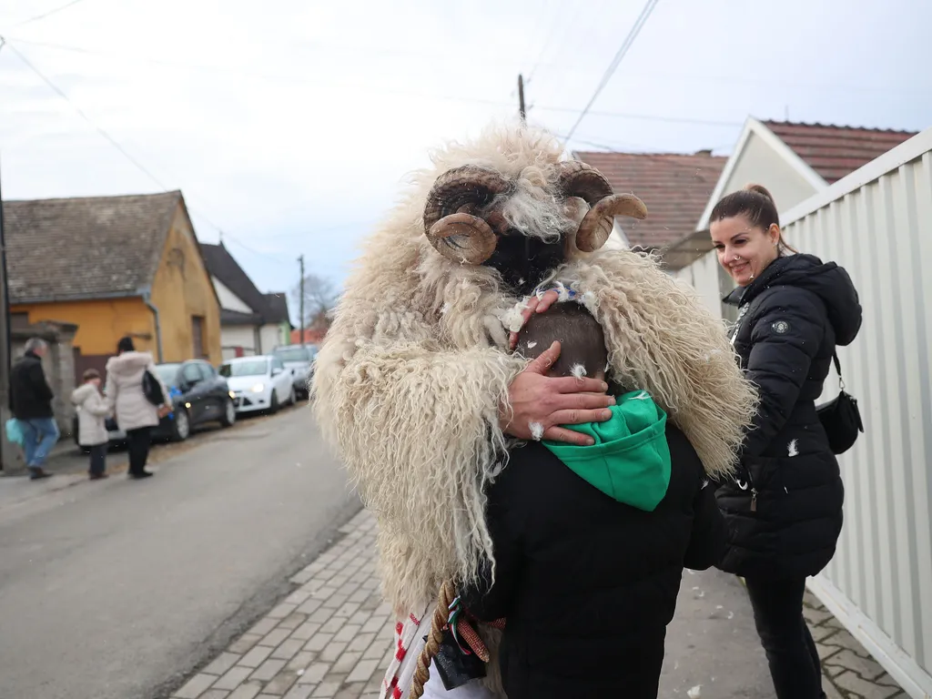 Busójárás Mohácson, BusójárásMohácson, 2026.02.15.