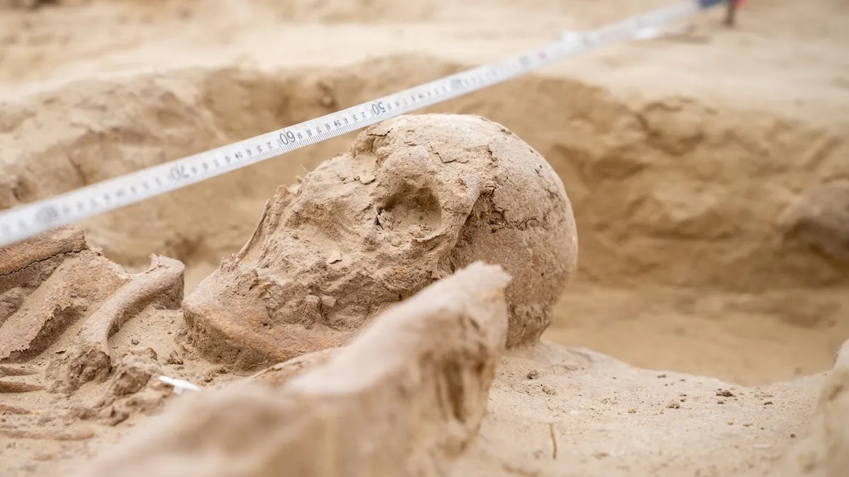 Kincset érő leleteket ástak ki az M1-es autópályán zajló munkálatok során –...