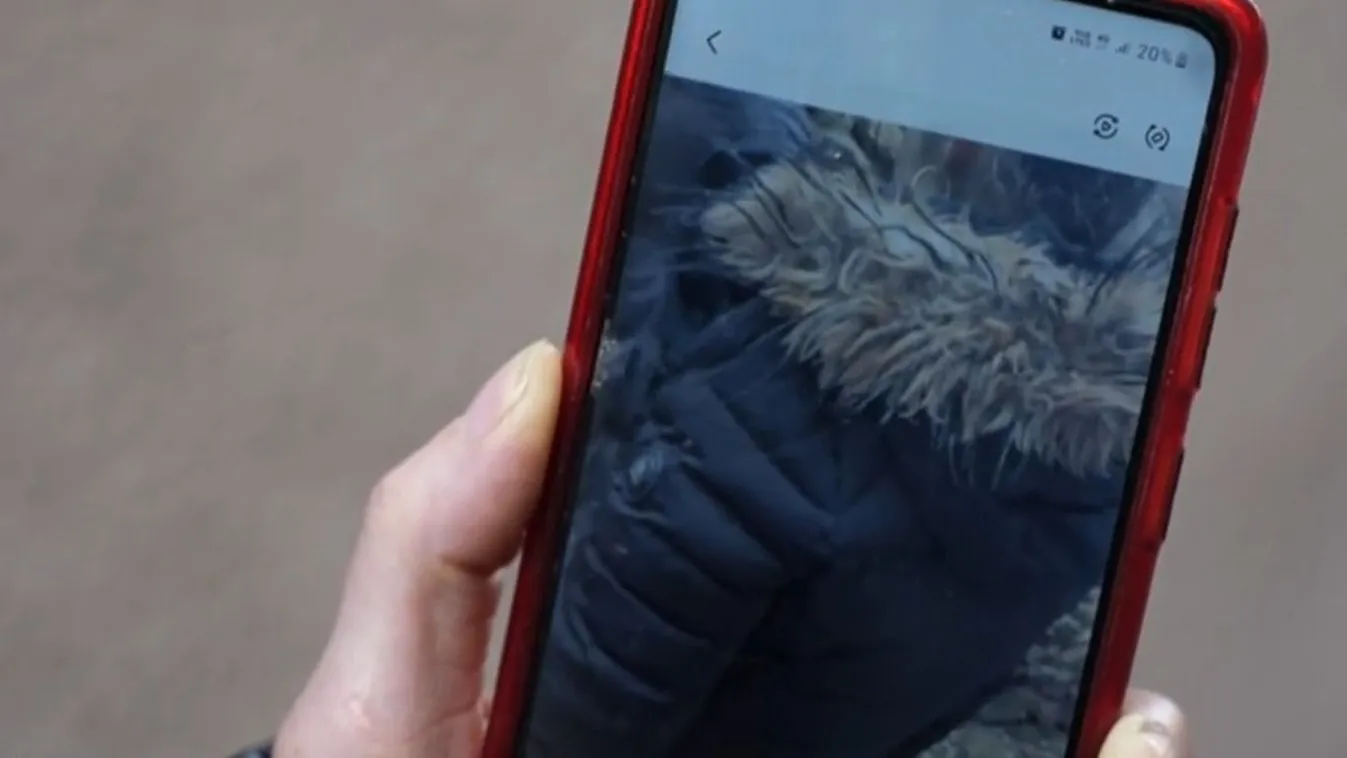 Felháborító! Három nap alatt négyszer vertek össze egy kislányt Pápán Kép