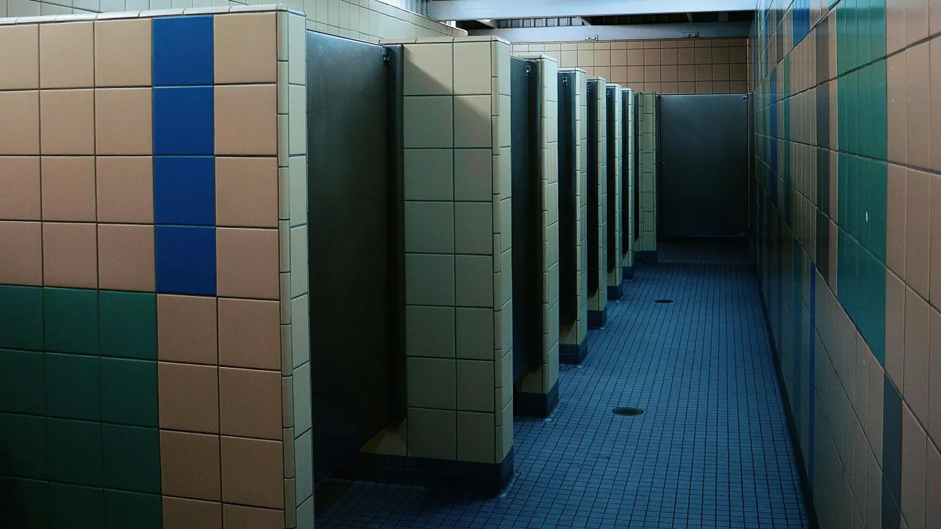 Sokkoló jelenet egy nyilvános vécében: lyukon át lógó péniszre bukkant egy nő – amit először műanyagnak hitt Kép