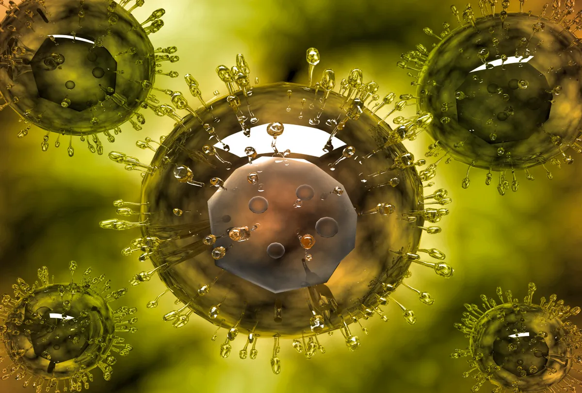 A H5N1 madárinfluenza vírusa