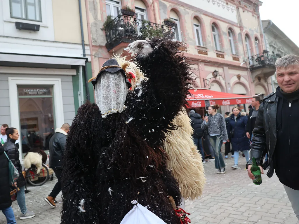 Busójárás Mohácson, BusójárásMohácson, 2026.02.15.