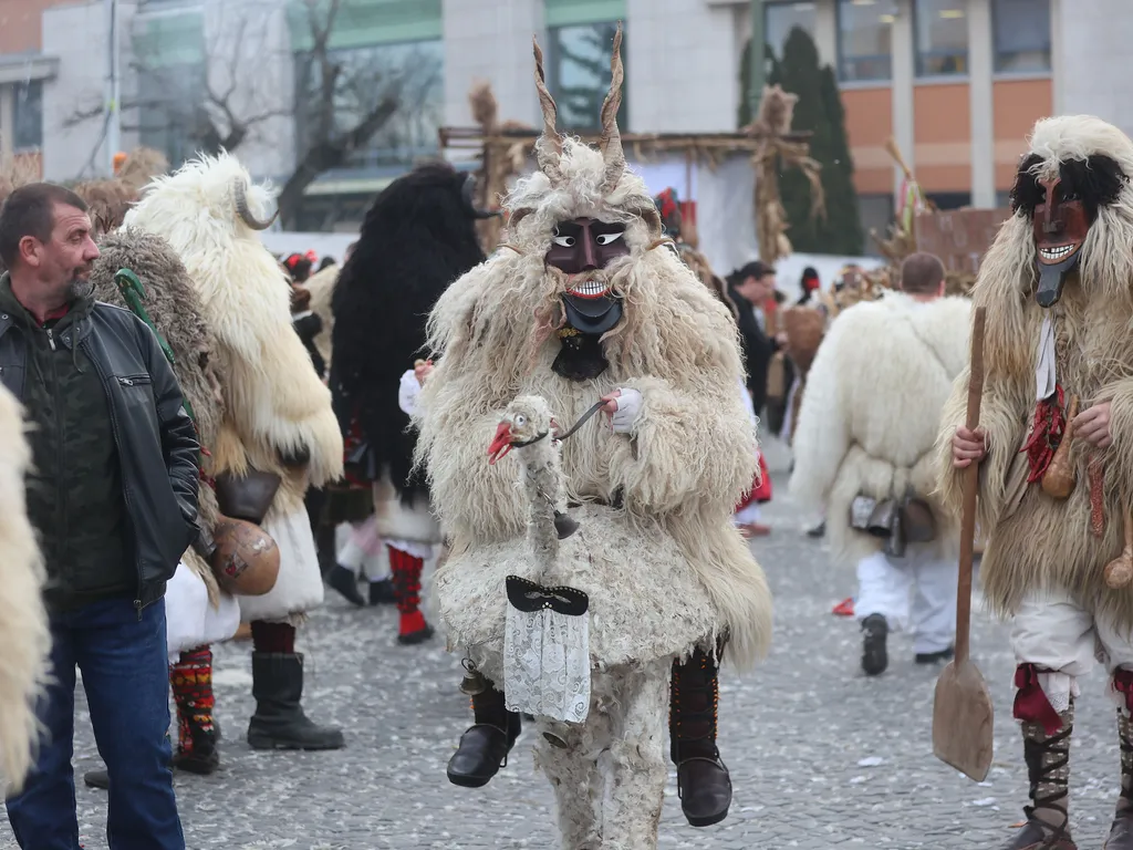 Busójárás Mohácson, BusójárásMohácson, 2026.02.15.