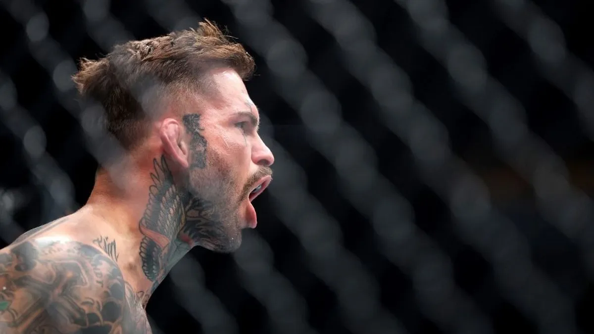 Úgy ágyékon rúgták, hogy hányt a meccsen a UFC-bajnok