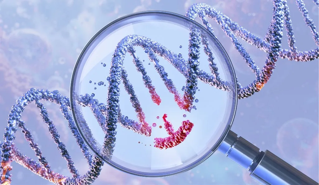 A génszerkesztés beindításához a kávé koffeinje lehet a kapcsoló egy új kutatás szerint