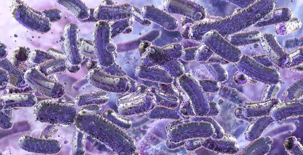 szepszis Illustration of Klebsiella, a genus of Gram-negative bacteria often associated with hospital-acquired infections. These bacteria can cause pneumonia, urinary tract infections and sepsis, especially in immunocompromised individuals. (Photo by RUSLANAS BARANAUSKAS/SCIENCE PHO / RBU / Science Photo Library via AFP)