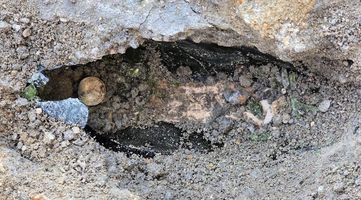 Az időkapszula megtalálása