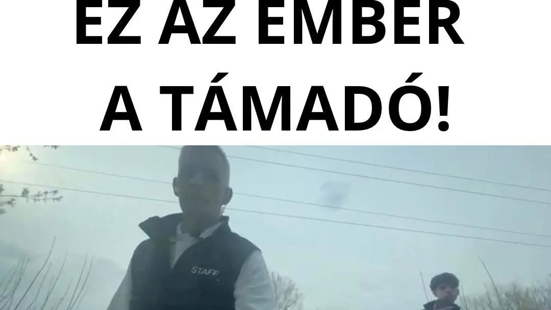 Magyar Péter