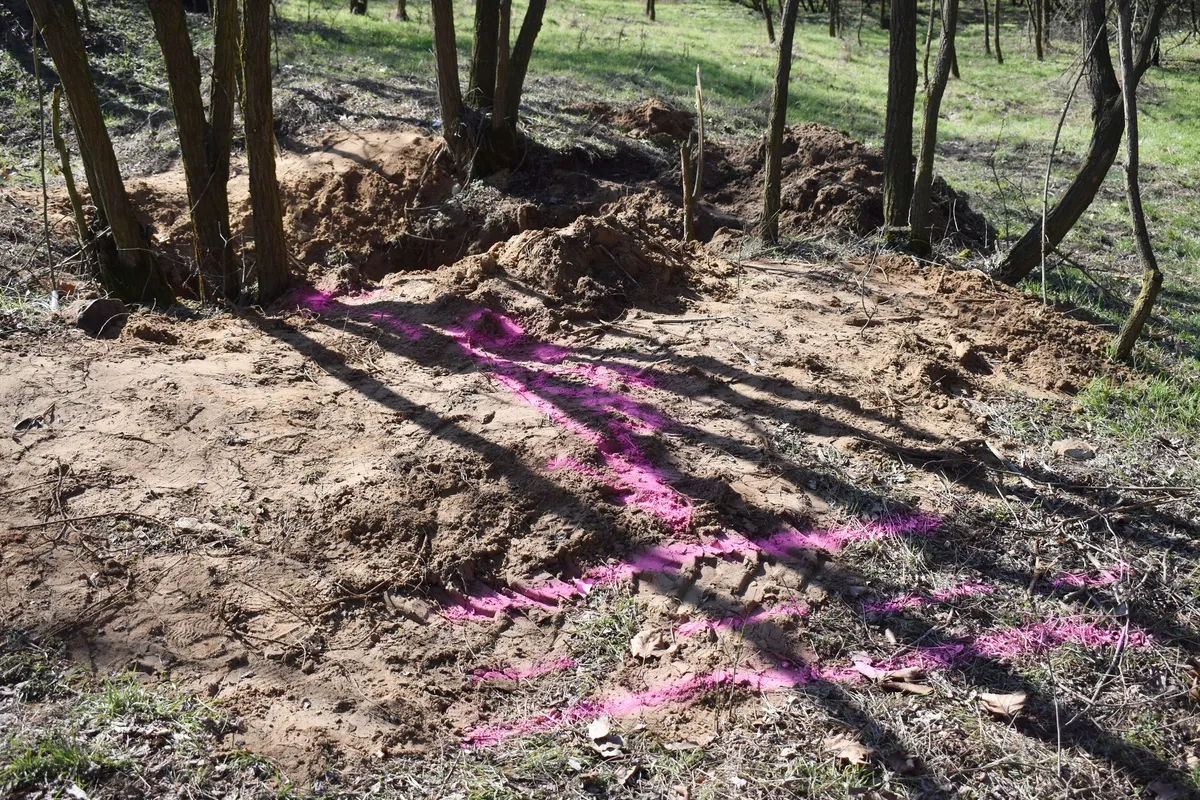 Egy fás területen találták meg a ceglédberceli gyilkosság áldozatát