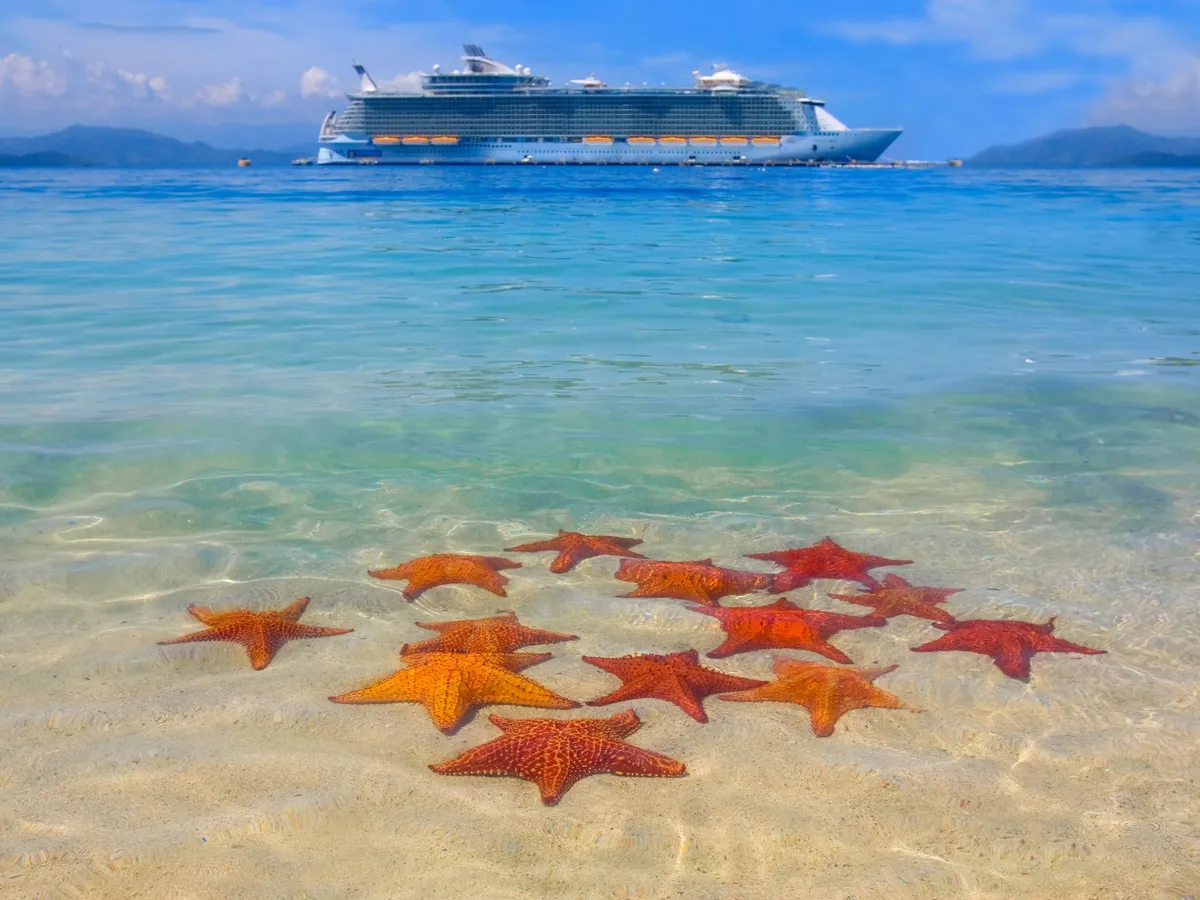 cruise ship in the Caribbean paradise and starfish on the beach