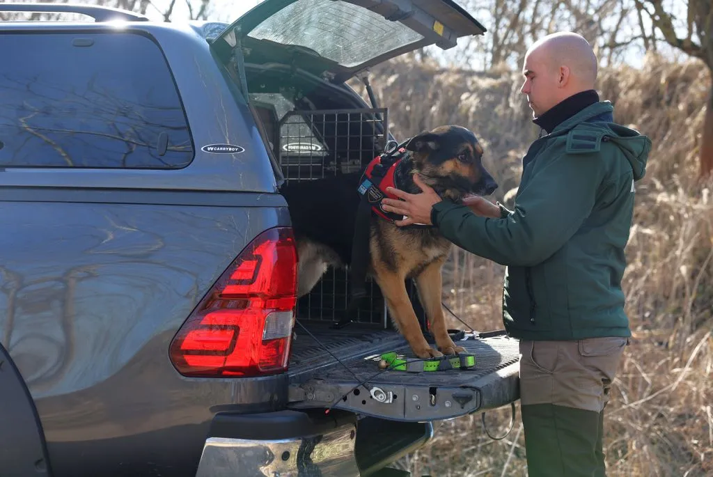 23 állat pusztult már el a mérgezések miatt
