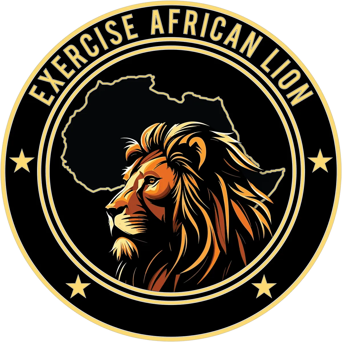 Magyar is részt vesznek az African Lion gyakorlaton