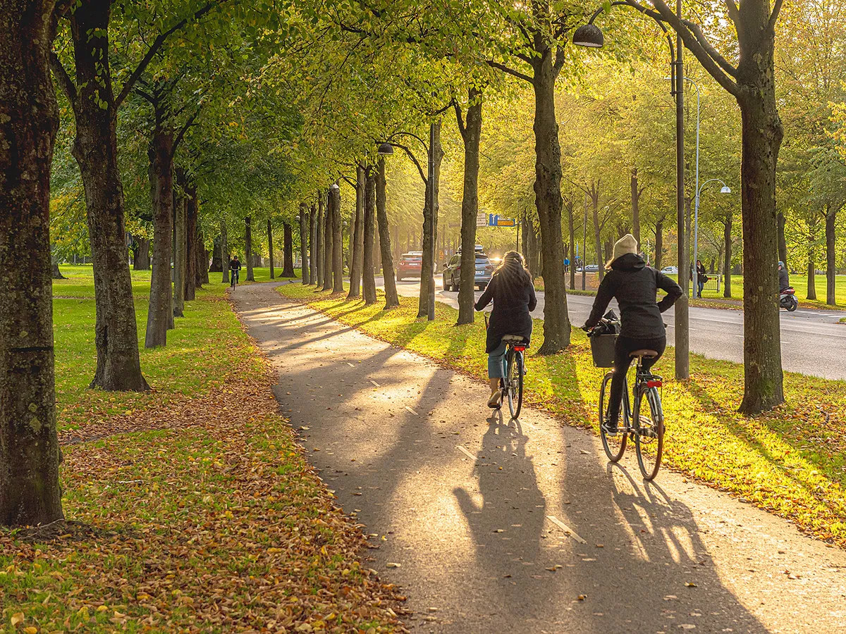 svéd, Gothenburg, Sweden - October 10 2019: Autumn cyclists riding along tree lined urban park path