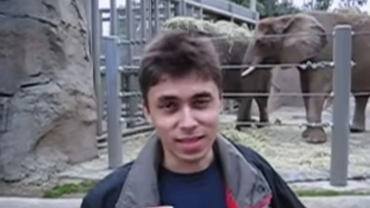 Mindössze 19 másodperc, mégis ez minden idők egyik legfontosabb videója – ORIGO