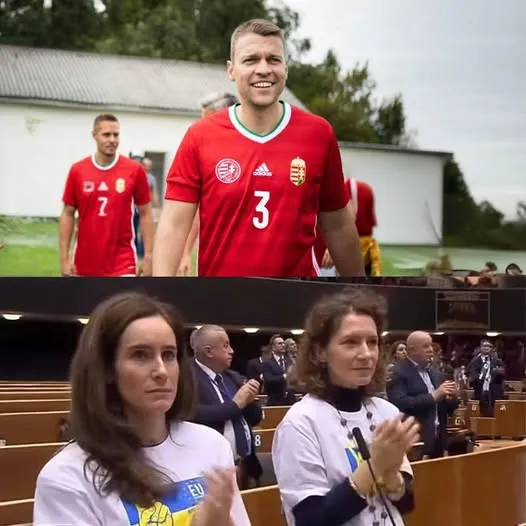Menczer Tamás