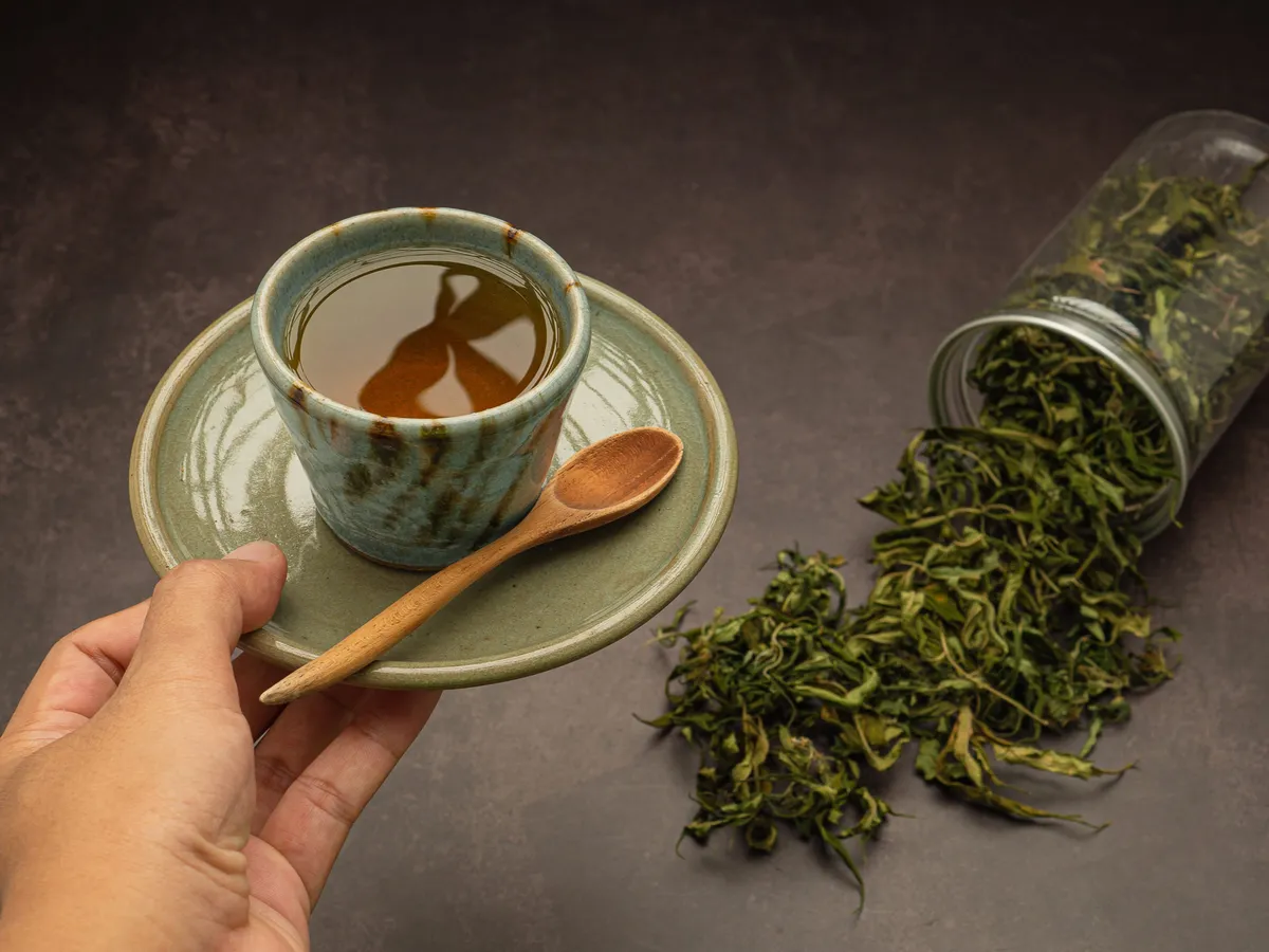 Hand holding a marijuana tea cup and dry cannabis leaf tea outside a box on a table. Textured marijuana leaves. Concept of beverage with cannabis herb