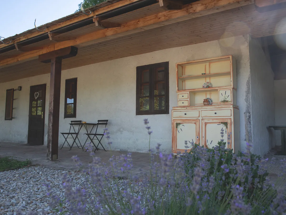 20250704 Megyer

Településfotózás

Fotó: Fülöp Ildikó FI
Veszprém Megyei Napló