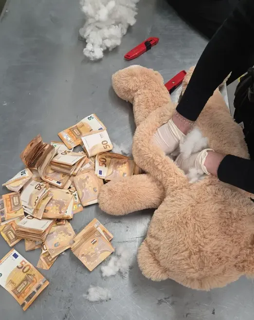 A plüssmackó belsejében több köteg bankjegyet találtak