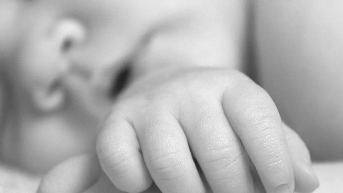 Európa népe csökkenhet, ötvenmilliós veszteség várható.