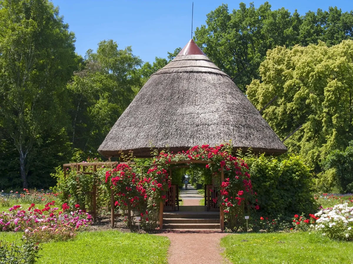 Small hut in a rose garden in the Botanical Garden of Szeged