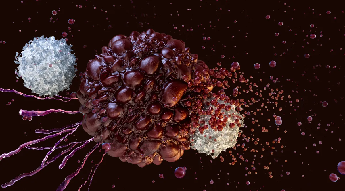A rákvakcinák hatását felerősítő adjuvánst fejlesztettek ki az MIT biomérnökei.