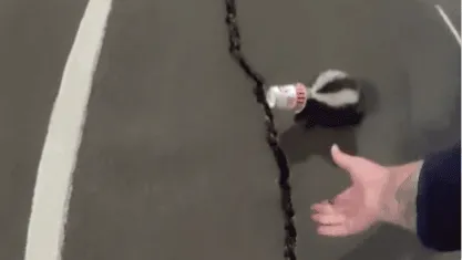 Csapdába esett egy állat – videó a borz mentéséről, Egy bűzösborz, egy a fejére ragadt pohár és egy nagyon bátor rendőr, bűzösborzfejéreragadtpohár