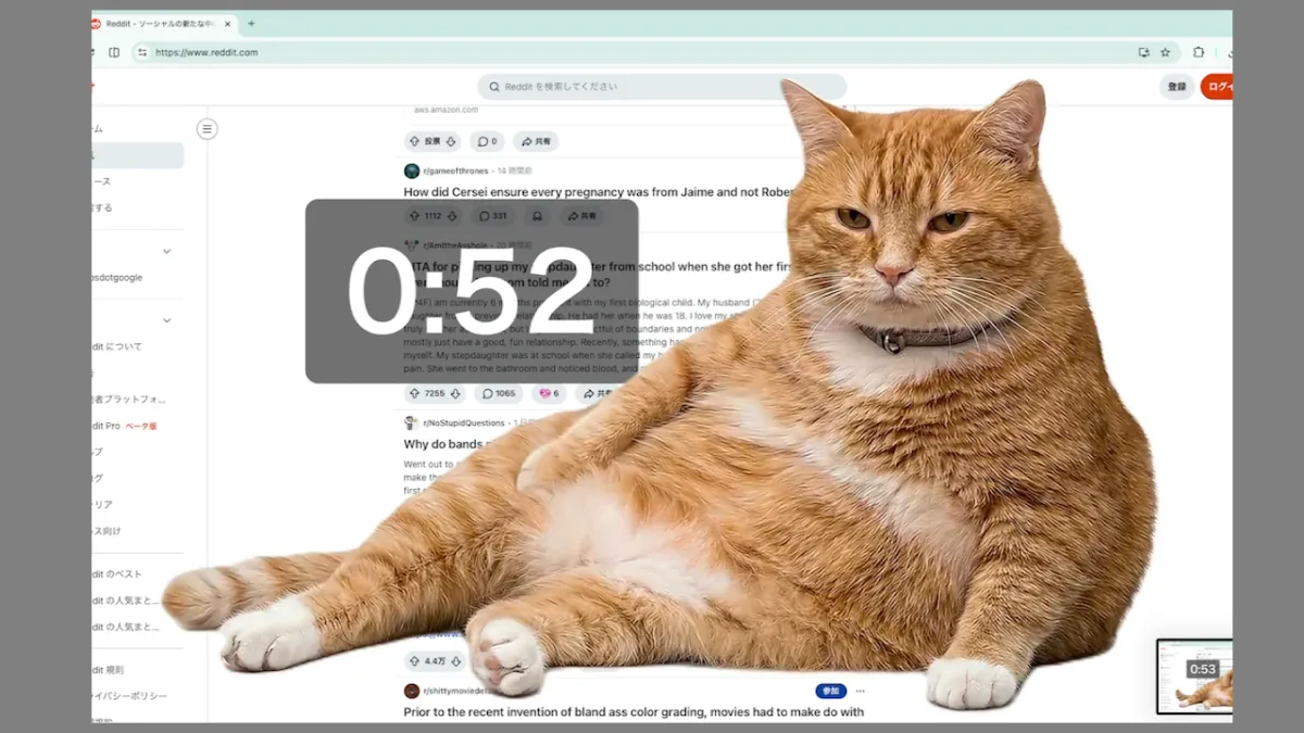 Hamisítatlan macska energiával operál a Cat Gatekeeper Chrome-bővítmény