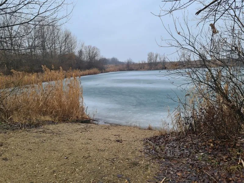 bányató