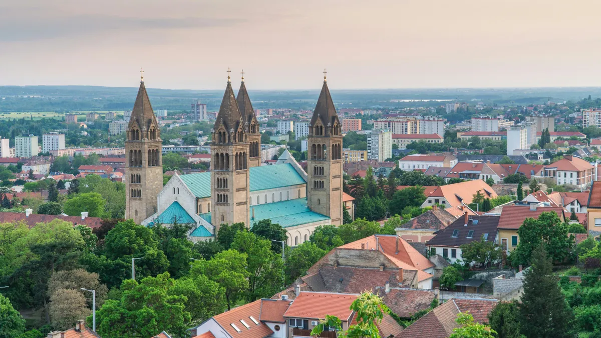Többen is kígyónak nézték a városban felbukkanó siklót Pécsen – Fotó: Unsplash