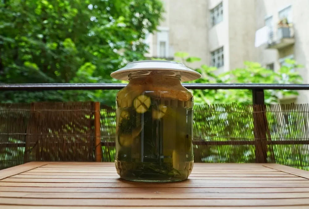 A kovászos uborka néhány nap alatt elkészül a nyári melegben, de a roppanós állaghoz fontos a megfelelő sóarány és a friss alapanyag
